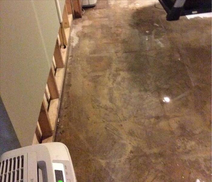 Wet cement floor in basement.