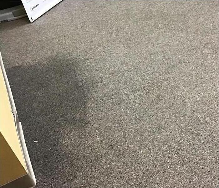 Wet carpet floor.