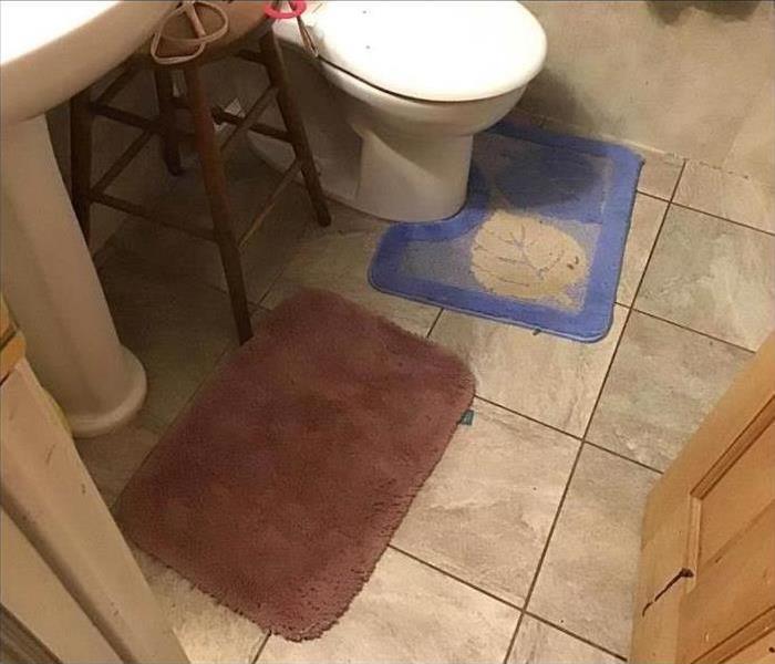Bathroom, toilet, two rugs wet. Concept of sewage backup cleaning