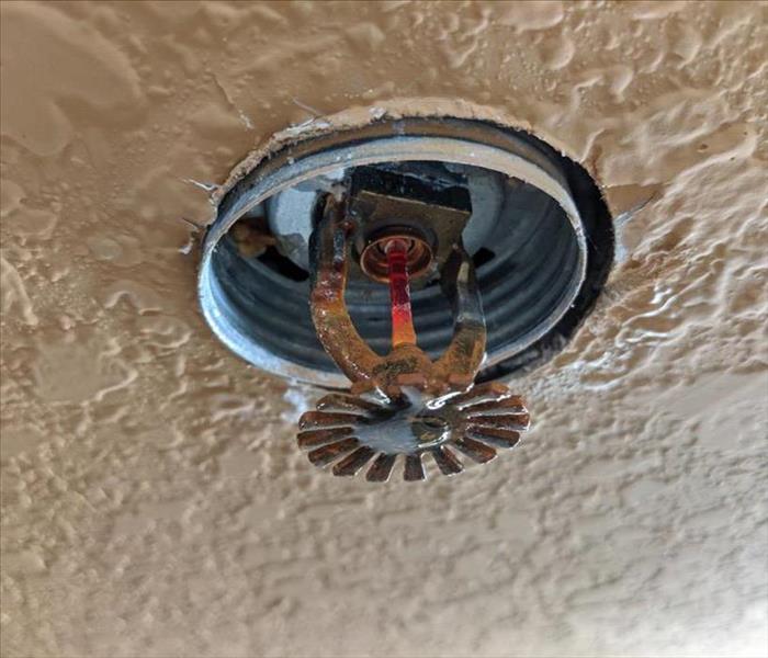Leaking Rusted Fire Sprinkler Pendent Concealed