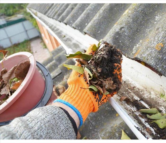 Roof Gutter Cleaning Tips. Clean Your Gutters. Gutter Cleaning.